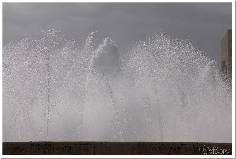 pedipaper belém 23fev10 018 copy