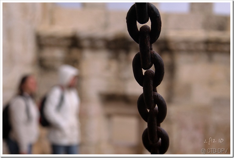 pedipaper belém 23fev10 053 copy