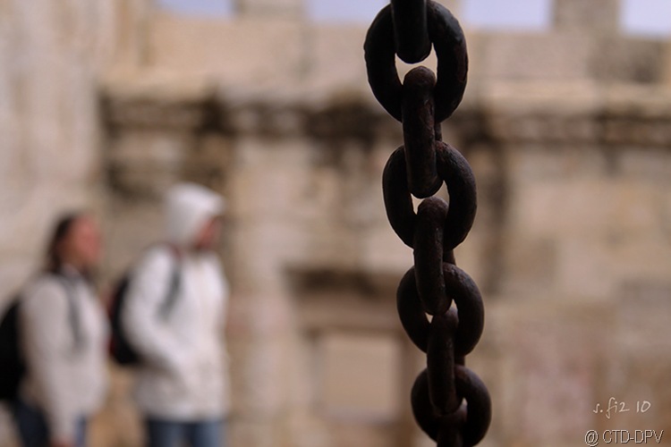 [pedipaper belém 23fev10 053 copy[2].jpg]