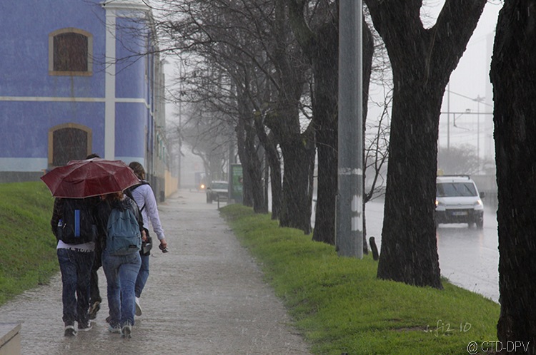 [pedipaper belém 23fev10 057 copy[2].jpg]