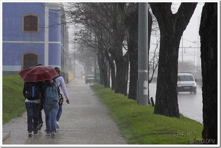 pedipaper belém 23fev10 057 copy