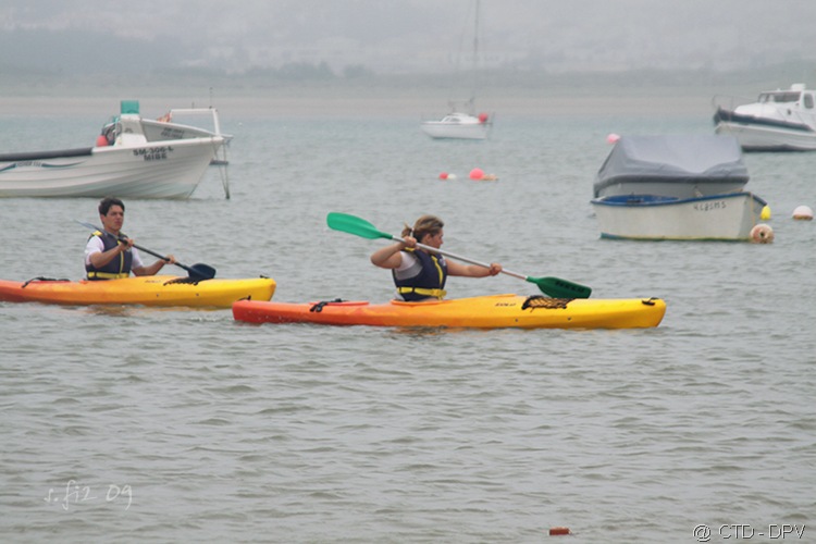 [SMP 118 copy[4].jpg]