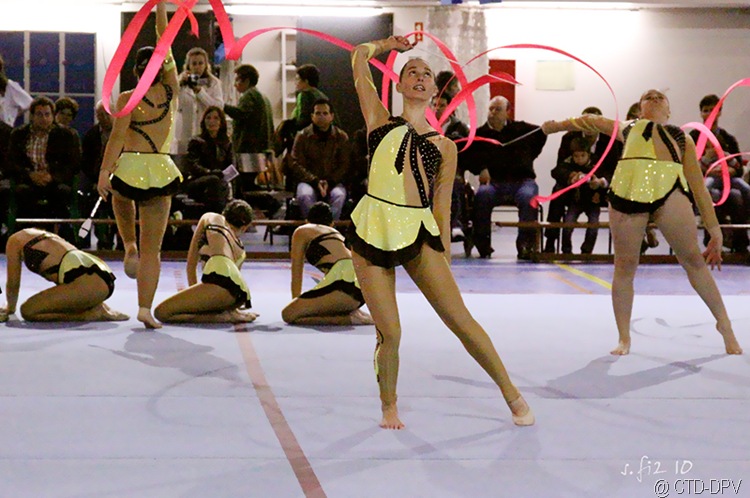 [sarau dpv 222 copy[2].jpg]