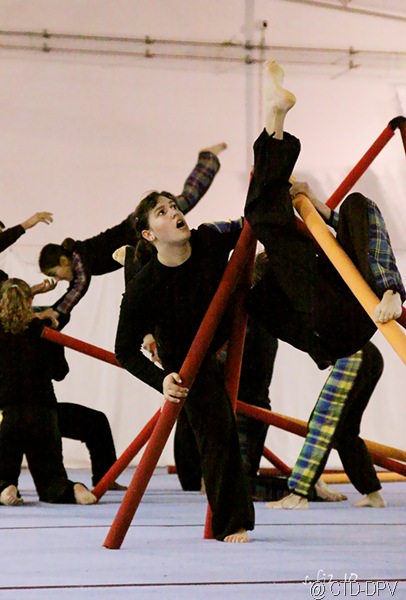 [sarau dpv 320 copy[3].jpg]