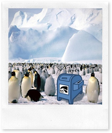 mailbox-penguin