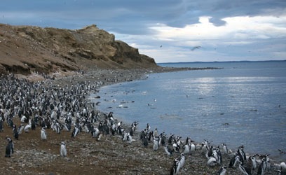 [IMG_50773.jpg]