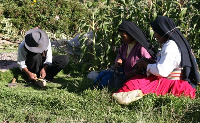 [IMG_31963.jpg]