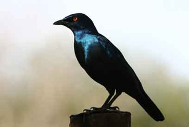 [IMG_93293.jpg]