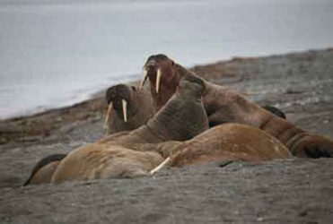 [IMG_83573.jpg]