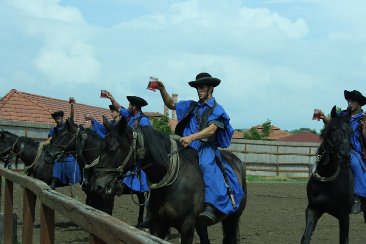 Calarind cu halba plina