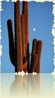 למעלה משבע מאות נשים מעורבות בועדות למען האישה וסוחטות את הממשלה בפיברוק מחקרים מגמתיים