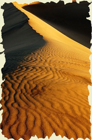 [455509DuneCrestFirstlightinDeathVall[3].jpg]