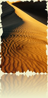 455509-Dune Crest-First light in Death Valley