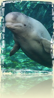 רצח הילדים הוא תוצאה של אדישות החברה והממשלה