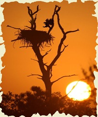 465883-Eagles Nest Sunset