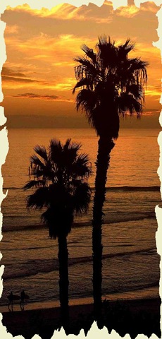 [465487-Surfing at Sunset[4].jpg]