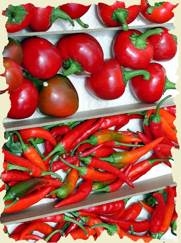 [462755-Red Hot[4].jpg]
