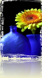 238213-Blue &amp; Yellow