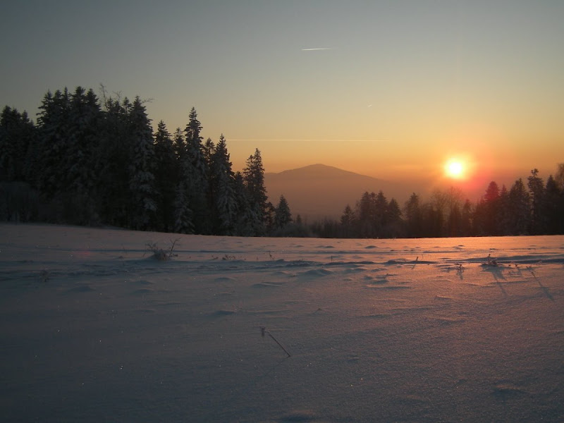 http://lh5.ggpht.com/_AK0lvltOPAo/TTNq-yWi44I/AAAAAAAANaA/GHysYgyTQ_E/s800/stycze%C5%84.jpg