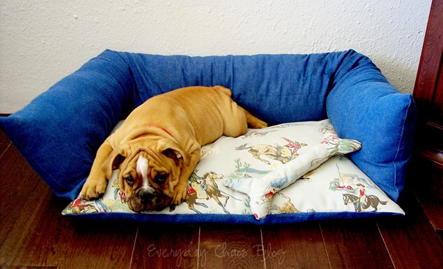 [00dogbed[8].jpg]