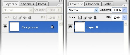 layer layer