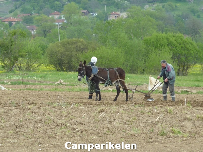 [Bulgarije12[3].jpg]