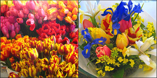 [Picnikcollageflowers1.png]