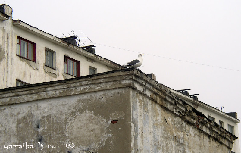 Еду в Магадан... 