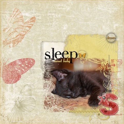 [sleep-sweet-baby[2].jpg]
