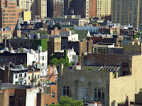 Location: New York

Story: We were having a couple of drinks in the meat packing district. The district is going through a massive renovation and scaling up to the upper classes of society. Not sure why we were admitted. The restaurant was located on top of one of the building. This was one of the views. I was fascinated by the rooftops with so many plants of them. Just did not seem like our image of New York.