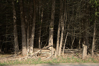 DSC_5520.jpg