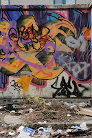 DSC_0803.JPG