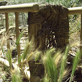 Picture of the Week - January 8, 2010