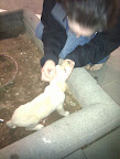 IMG_20101215_225326.jpg