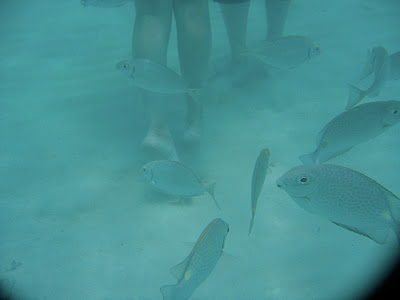 Ｕnder Water