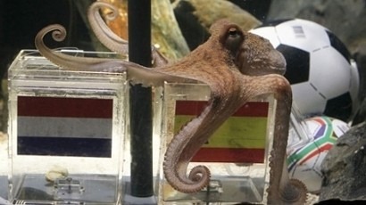[psychic-octopus chooses[4].jpg]