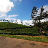 Wayanad