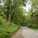 And, finally we were on the roads - on our way home, we'd see elephants strolling across this road...