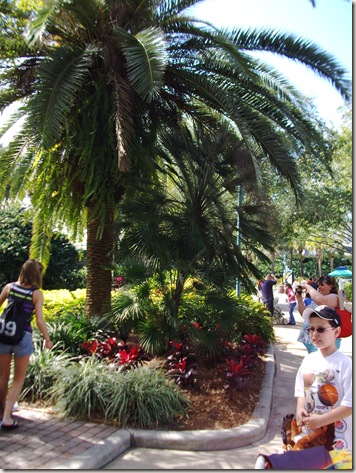 florida vacation 057 florida vacation 057