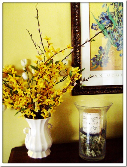 forsythia