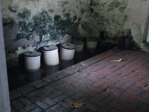 Spring house cellar