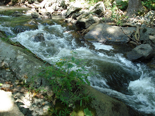 Wanaque River 