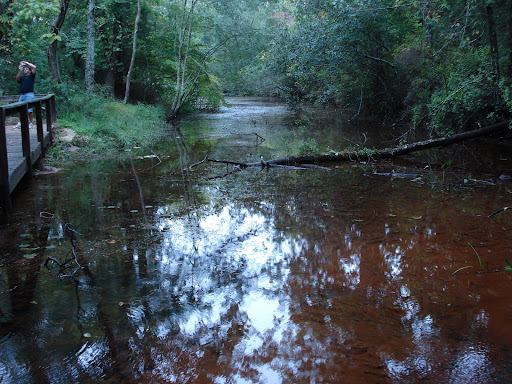 Batsto River