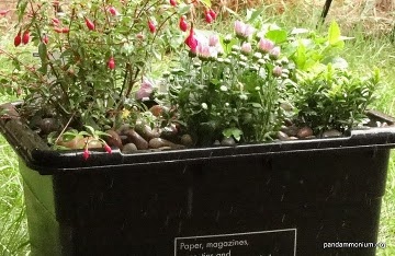 recycled planter