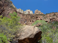 P1020156.JPG Photo