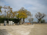 Montjuic Park