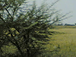 Kanha On Way.jpg
