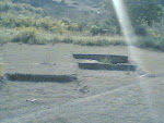 Kanha Meadow3.jpg