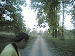Kanha4 Drive2.jpg