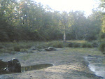 Kanha7 River.jpg